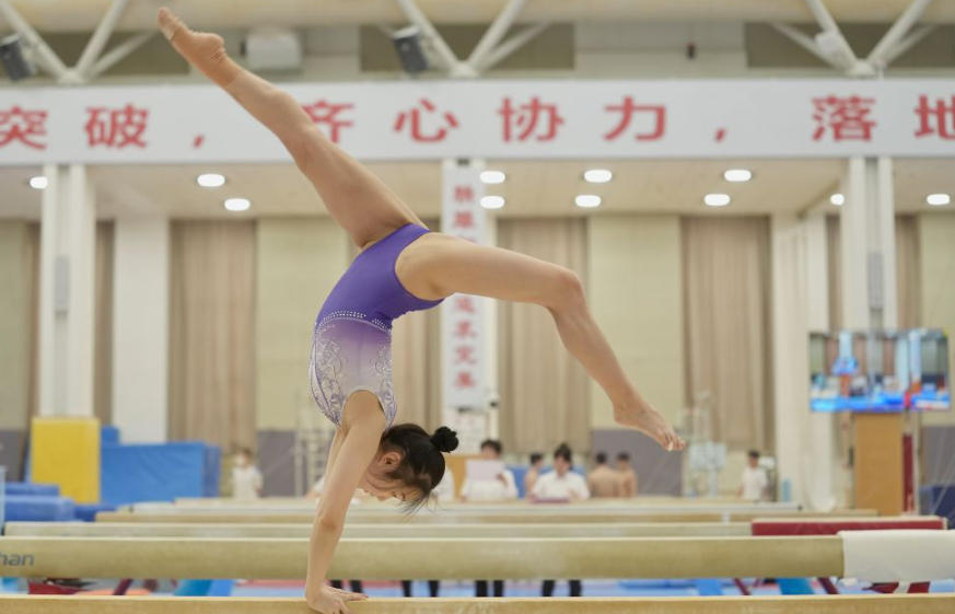 杏彩平台注册用户的体验反馈